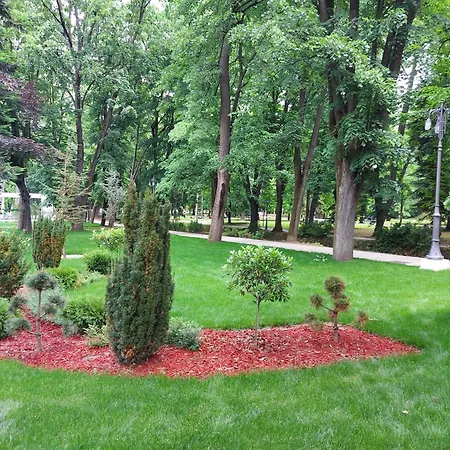 Apartman Modiano